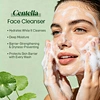 Centalla Soothing Face Wash